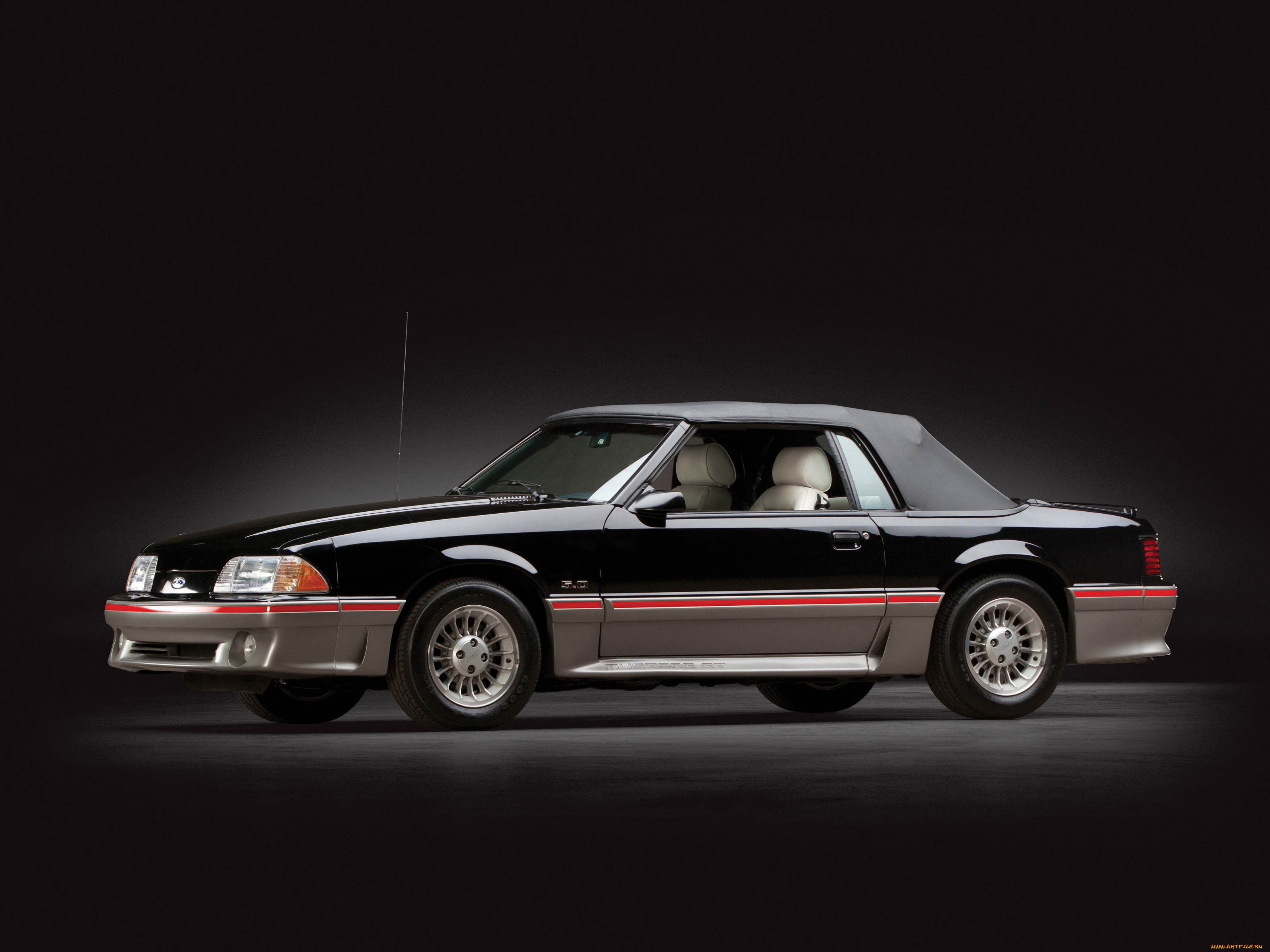 , mustang